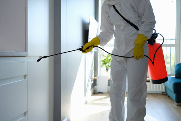 Best Mold Remediation for Schools in Ackerman, MS